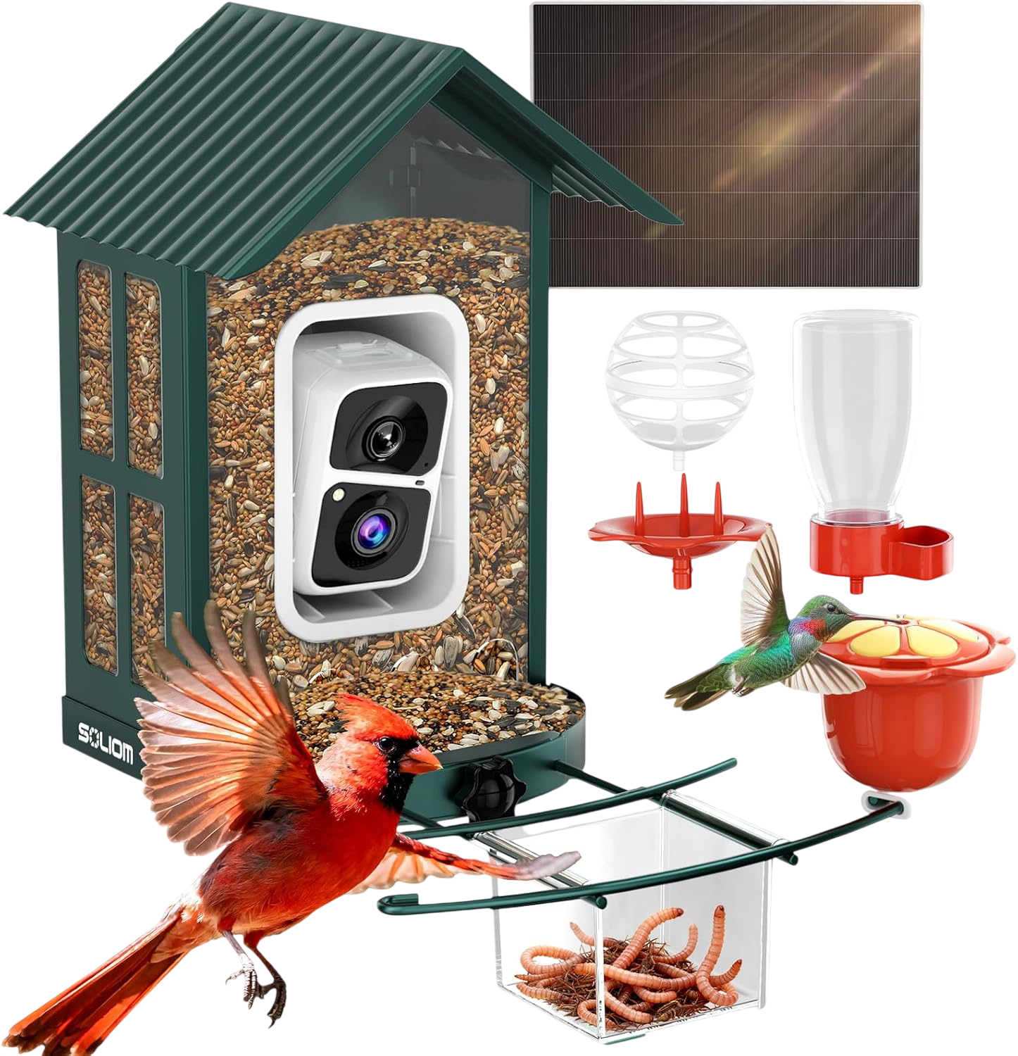 Bird Feeder with Camera, Green by Soliom